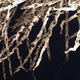 Illustration for article titled This feather is actually made up of thousands of naked human bodies
